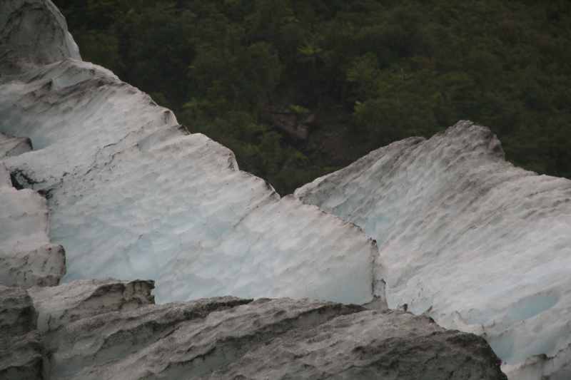 Nieuw-Zeeland 2011 - 1433